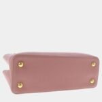 Louis Vuitton Pink Taurillon Embellished Flower Crown Capucines PM